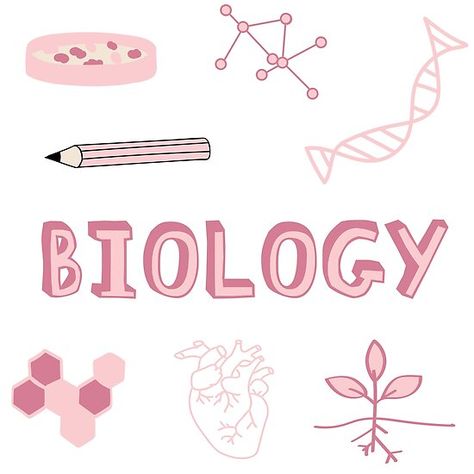 Pink Subject Pack. Perfect gift for anyone heading back to College! Check out my portfolio for all the individual subject versions as I roll them out. Petri dish experiment, pencil, calls, DNA Helix, molecule, atoms, photosynthesis and heart. • Millions of unique designs by independent artists. Find your thing. Aesthetic Biology Cover Page, Pink Biology Aesthetic, Biology Notes Cover, Notes Cover Page, Biology Cover Page Design, Biology Notes Aesthetic, Sampul Binder, Biology Aesthetic, School Binder Covers