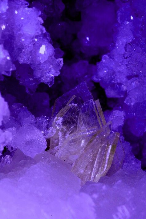 Purple Dark Purple Crystal, Shimmer Shine, All Things Purple, Purple Crystal, Rocks And Gems, Purple Crystals, Gems And Minerals, Crystal Gems, Crystals Minerals