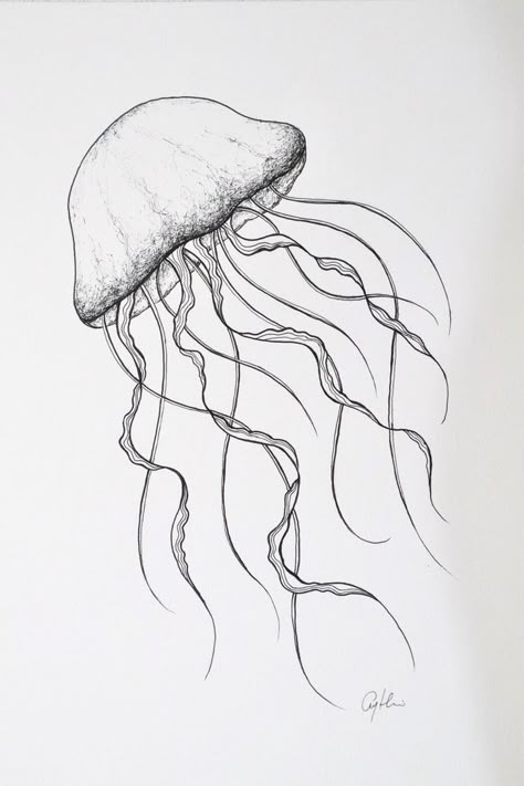 Fine Line Artwork, Drawing Ocean, Seashell Drawing, Acid Paper, Handmade Drawings, Jellyfish Illustration, Jellyfish Photography, Beach Style Decorating, Ocean Illustration