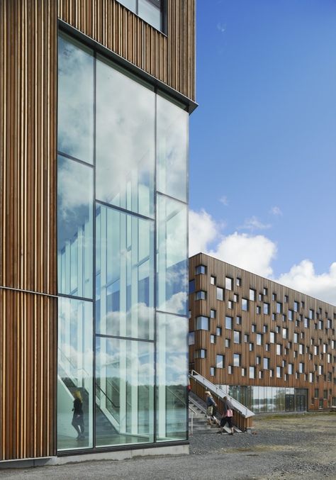 Siberian Larch, SSG Curtain Wall, and beautiful glass - the windows look like holes of sky. Henning Larsen Umea Art Museum Henning Larsen, Museum Design, Renzo Piano, Curtain Wall, Glass Facades, Diagram Architecture, Building Facade, Architecture Exterior, Facade Architecture