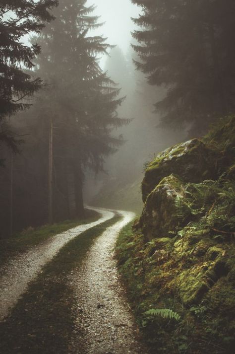 Forest Photography, Dirt Road, Christmas Aesthetic, Outdoor Photography, Pacific Northwest, Nature Beauty, Beautiful World, Beautiful Landscapes, In The Middle