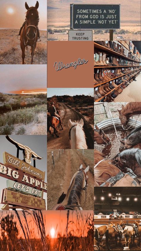 Western Aesthetic Wallpaper, Horse Background, Cute Iphone Wallpaper Tumblr, Cow Wallpaper, Country Backgrounds, Cute Home Screen Wallpaper, Western Wallpaper Iphone, Cow Print Wallpaper, Cute Horse Pictures