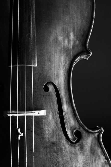 Very well done, beauty in simplicity!  "The Cello 2" by carlatiyeh Hello Cello, Cello Art, Cello Photography, Cool Violins, Violin Art, Gothic Garden, Silhouette Photography, Music Drawings, Cellos