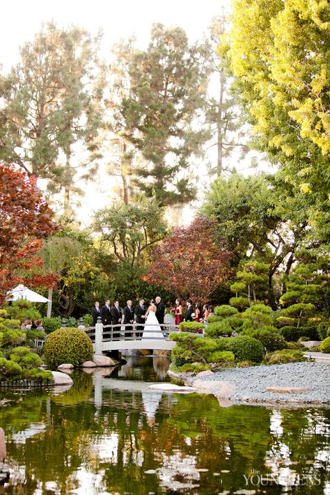 Japan Wedding Venue Japanese Gardens, Wedding Venues Japan, Japanese Wedding Venue, Asian Garden Wedding, Chinese Garden Wedding, Japanese Wedding Aesthetic, Wedding In Japan, Zen Garden Wedding, Japanese Wedding Ceremony