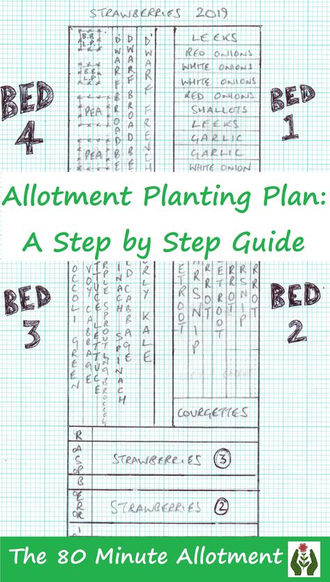 A step by step guide to planning your allotment for the year. How to work out what to grow, where to grow it, and how many seeds or plants to buy. Allotment Ideas Inspiration, Allotment Planner, Allotment Plan, Straw Bale Gardening, How To Work Out, Raspberry Plants, Planting Onions, Veg Patch, Allotment Gardening