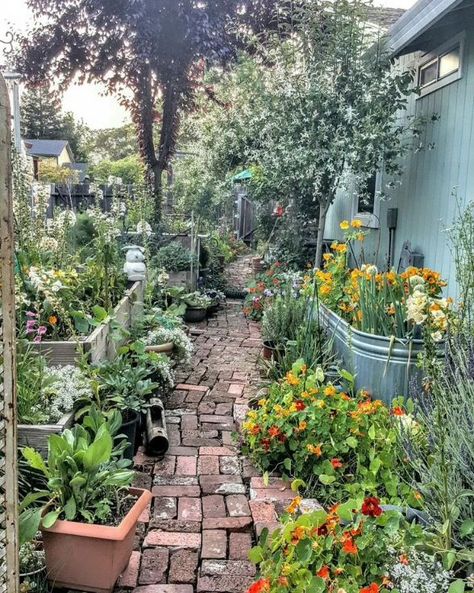 Backyard Arizona, Backyard Bohemian, Hidden Oasis, Side Yard Landscaping, Small Courtyard Gardens, Courtyard Gardens Design, Landscaping Garden, Side Garden, Village House