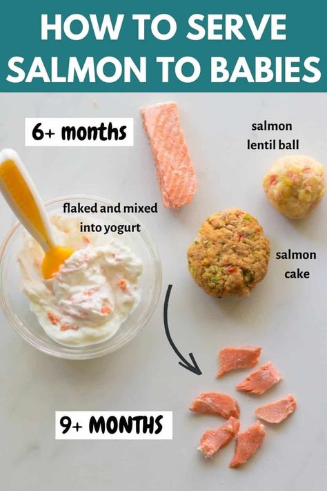 Salmon For 9 Month Old, Salmon For 8 Month Old, Salmon Cakes For Baby, Salmon Recipe For Baby, Salmon Puree For Baby, Baby Salmon Recipe, Salmon Baby Led Weaning, Salmon Recipes For Baby, Salmon For Toddlers