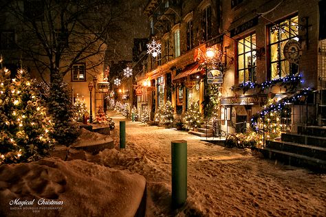 Why, yes, I would like to spend Christmas here. I would like a hot chocolate and a stack of books waiting for me. Mobile Ringtones, Street Wallpaper, Christmas Street, Christmas Town, Christmas Scenes, City Street, Magical Christmas, Noel Christmas, Merry Little Christmas