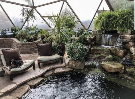 The Above Ground Pond Provides Thermal Mass in the Greenhouse Greenhouse With Ponds, Greenhouse Pond Ideas, Green House Pond, Greenhouse Water Feature, Koi Pond In Greenhouse, Thermal Mass Greenhouse, Greenhouse With Koi Pond, Greenhouse Koi Pond, Walipini Greenhouse Design