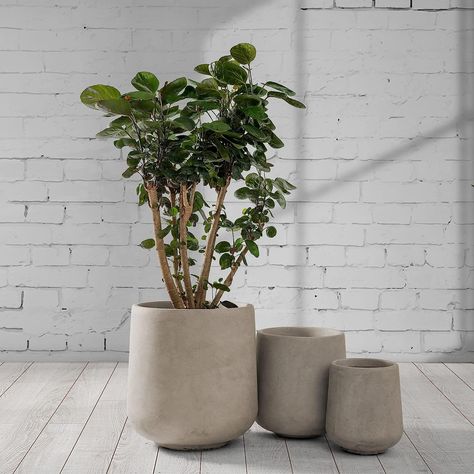 Handmade Concrete Planters, Plant Pots Crafts, Concrete Containers, Large Outdoor Planters, Handmade Plant, Concrete Planter, Cement Planters, Concrete Color, Planter Pots Outdoor