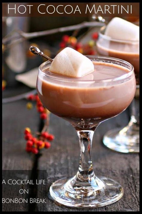 A Hot Cocoa Martini would go down nicely at home by the fire in a fancy glass or around the campfire in a mug. Hot Cocoa Martini, Hot Chocolate Martini, Martini Ideas, Spanish Coffee, Signature Cocktails Wedding, Wedding Signature Drinks, Winter Wedding Ideas, Cocoa Bar, Winter Wonderland Wedding