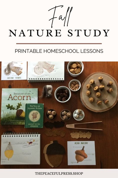 Preschool Fall Unit Study, Home School Prek Curriculum, Homeschool Fall Ideas, Fall Homeschool Kindergarten, Fall Activities For Homeschool, Fall Harvest Curriculum, Fall Equinox Unit Study, Homeschool Study Units, Preschool Study Ideas