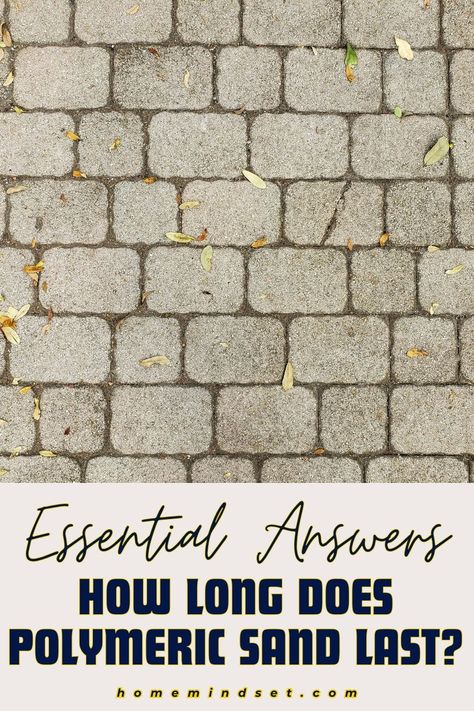 Get answers to the lifespan of polymeric sand! This guide covers everything you need to know. Ensure your pavers stay securely in place. Polymeric Sand Diy, Polymeric Sand Pavers, Nj House, Aggregate Patio, Paver Sand, Industrial Chic Interior, Polymeric Sand, Diy Techniques And Supplies, Answer This Question