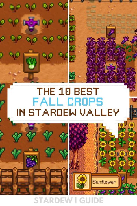 Stardew Valley Fall Guide, Stardew Valley Fall Crops, Stardew Valley Fall, Fall Crops, Eggplant Seeds, Farming Guide, Fall Begins, Fall Crop, Rose Fairy