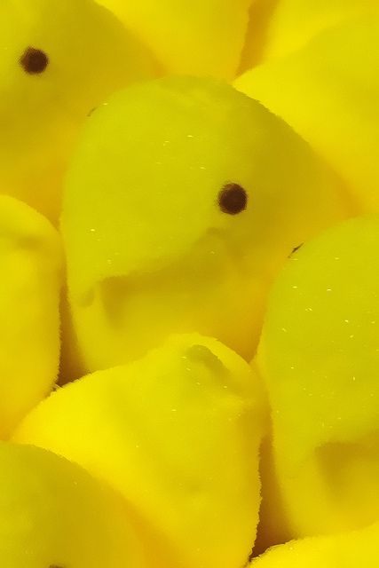 Peeps Aesthetic, Iphone Spring Wallpaper, Unique Farmhouse Decor, Artsy Background, Easter Backgrounds, Screen Savers Wallpapers, Easter Wallpaper, Scrapbook Collection, Bunny Wallpaper