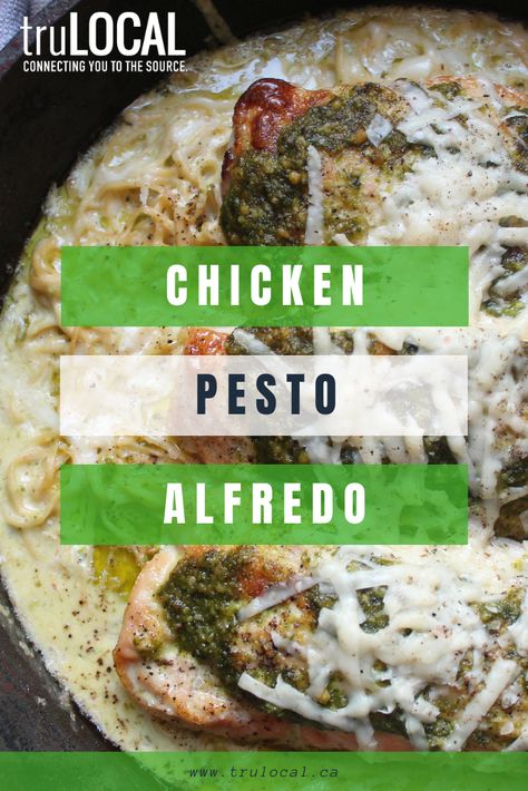 Finally, a recipe that your entire family will love, kids included! Save this recipe as they'll be asking for it on the regular! -- Enfin une recette que votre famille et les tout-petits adoreront ! Nous vous conseillons de la prendre en notre, elle deviendra populaire. Garanti ! Basil Pesto Alfredo Chicken Pasta, Pesto Alfredo, Sauce Pesto, Chicken Alfredo Pasta, Baked Chicken Tenders, Chicken Pesto, Creamy Pesto, Asiago Cheese, Asiago