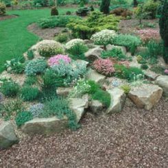 Garden With Rocks, Rockery Garden, Minnesota Lake, Bocce Court, Hgtv Garden, Alpine Garden, Rock Garden Plants, Rock Garden Design, Rock Gardens