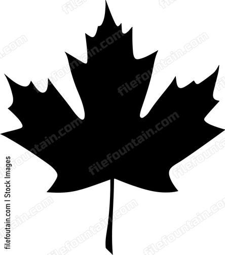 Maple Leaf Vector, Canadian Symbols, Maple Leaf Logo, White Tailed Eagle, Leaf Svg, Leaf Vector, Canada Maple Leaf, Leaves Vector, Leaf Logo