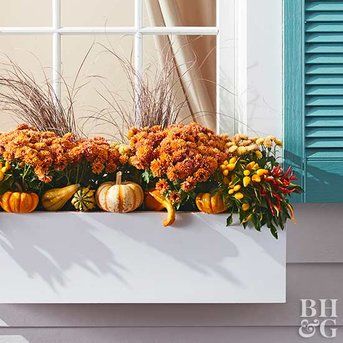 orange fall window box with orange mums and mini pumpkins and gourds Fall Flower Boxes, Window Box Ideas, Fall Window Boxes, Potted Mums, Fall Windows, Fall Container Gardens, Fall Mums, Fall Containers, Window Box Flowers