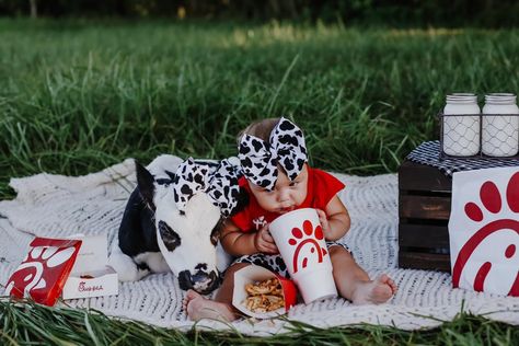 Thick-Fil-A photoshoot with baby calf! Cutest thing EVER #BraeandBougie  #babycow #cow #chickfila #thickfila #sweetbaby #cowphotoshoot #photoshoot #firstbirthday #firstbirthdayphotoshoot #calf #ToriWalkerPhotography Cow Birthday Parties, Baby Clothes Country, Cow Photos, 1st Birthday Photoshoot, Baby Girl Clothes Winter, First Birthday Pictures, Heartwarming Photos, Cow Birthday, Cow Pictures