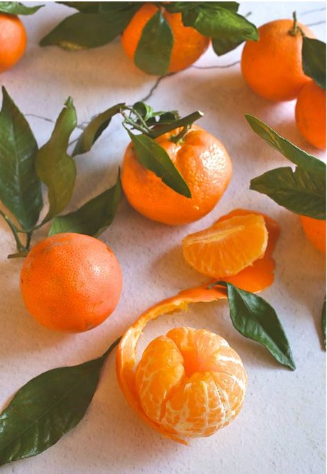 Satsuma-Mandarin-Orange-Scones-2 Mandarin Orange Aesthetic, Tangerines Aesthetics, Cutie Theme, Cream Scones Recipe, Note Aesthetic, Mandarin Juice, Orange Scones, 2024 Moodboard, Mandarin Oranges