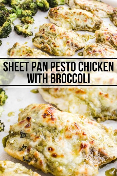 This easy sheet pan pesto chicken meal comes together quickly with chicken breasts, broccoli, pesto, and melty mozzarella. This is a family favorite dinner even the kids will love! Chicken Breast Pesto Recipes, 1 Pan Meals, Sheet Pan Pesto Chicken, Gf Cooking, College Meal, Chicken With Broccoli, Sheet Pan Meals Chicken, Pan Chicken Recipes, Broccoli Pesto