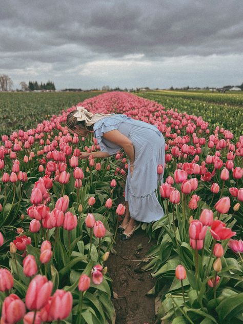 Tulips Tulips Pictures Ideas, Tulip Feild Pics, Tulip Field Poses, Tulip Picking Photos, Tulip Farm Aesthetic, Tulip Field Pictures, Flower Field Photo Ideas, Tulip Picking Outfit, Tulip Garden Photoshoot