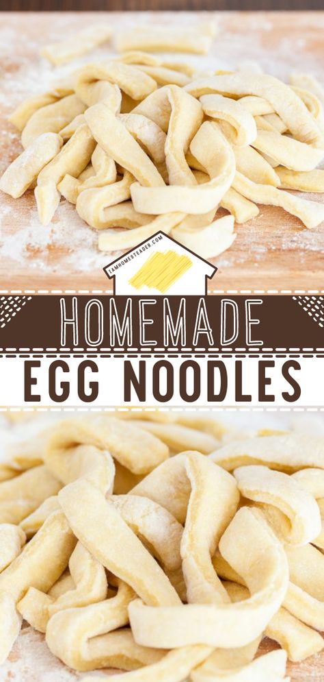 Pasta Recipes Homemade, Easy Homemade Noodles, Noodle Recipes Homemade, Egg Noodle Recipes, Homemade Egg Noodles, Homemade Pasta Recipe, Noodle Recipes Easy, Make From Scratch, Homemade Noodles