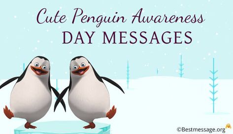 Cute Penguin Awareness Day Messages, Penguin Love Quotes, penguin birthday messages Penguin Love Quotes, Penguin Quotes, Penguin Awareness Day, Happy Penguin, Penguin Birthday, Messages Quotes, Penguin Love, Cute Penguin, Cute Messages