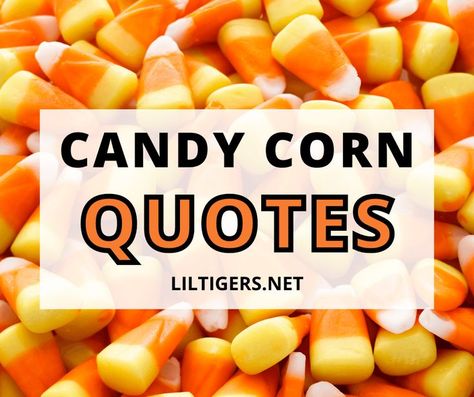 35 Best Candy Corn Quotes and Sayings Candy Corn Ideas Halloween Fun, Candy Corn Party Ideas, Candy Corn Theme Party, Halloween Candy Quotes Funny, Candy Corn Quotes Funny, Cute Candy Corn Sayings, Candy Corn Meme Funny, Halloween Candy Sayings, Halloween Candy Quotes