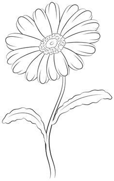 Draw A Daisy, Daisy Drawing, Leaf Outline, Outline Images, Flower Drawing Tutorials, Flower Sketches, Pola Sulam, Flower Coloring Pages, Flower Doodles