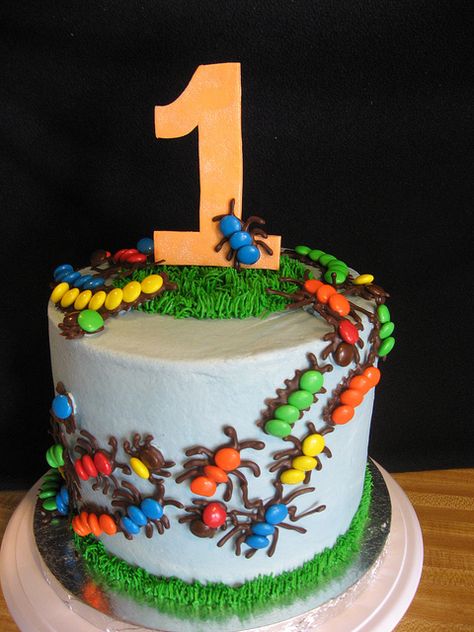 bug cake and fall slide 006 | Flickr - Photo Sharing! Bug Birthday Cakes, Bug Cake, Bug Party, Gateaux Cake, Boy Birthday Cake, Entertaining Ideas, Boys Birthday, Cakes For Boys, Birthday Cake Kids