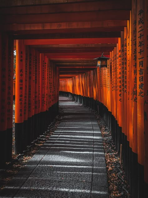 16 Romantic Things to Enjoy in Kyoto Alone Kyoto Itinerary, Kyoto Travel Guide, Line Photography, Fushimi Inari Taisha, Torii Gate, Mont Fuji, Kyoto Travel, Places To Rent, Japan Travel Tips