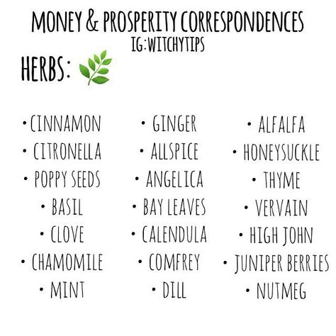 Tips for Witches Everywhere! ✨ on Instagram: “💰💚 MONEY & PROSPERITY CORRESPONDENCES! 💚💰 Use this list and incorporate it into making money-drawing oils, charm bags, jars, candle…” Money Prosperity, Instagram Money, Magickal Herbs, Witch Herbs, Green Witchcraft, Wiccan Magic, Magic Herbs, Eclectic Witch, Magical Herbs