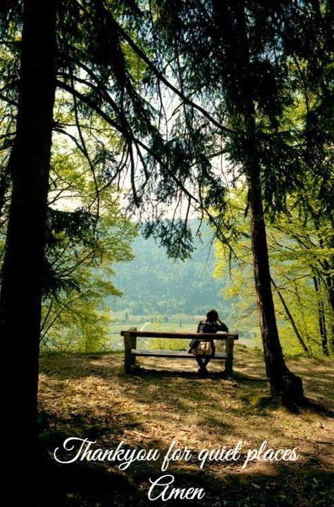 Sitting On A Bench, Zen Meditation, Peaceful Places, Jolie Photo, Country Life, Beautiful World, In The Middle, Happy Places, The Great Outdoors