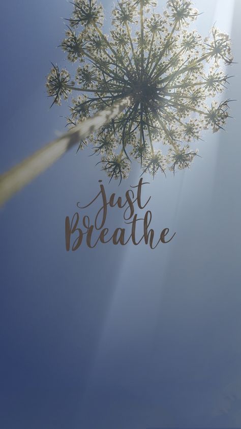 Just Breathe With Flower Tattoo, Just Breathe Wallpaper, Breathe Wallpaper, Breathe Quotes, Natural Decongestant, Nasal Passages, Perennial Herbs, Facebook Covers, Flower Phone Wallpaper