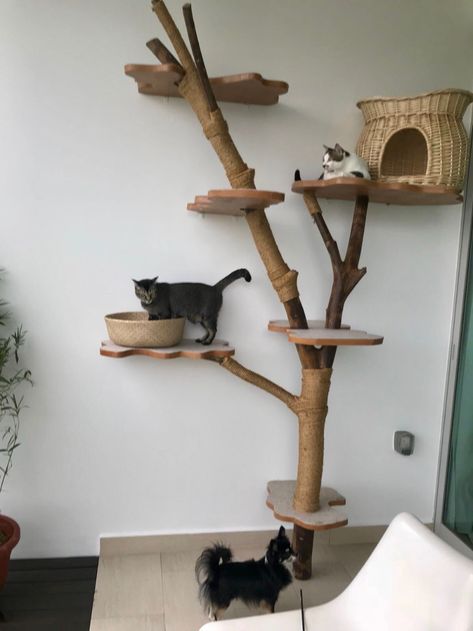 Cat Trees Diy Easy, Custom Cat Trees, Unique Cat Trees, Cat Habitat, Cat Climbing Wall, Pet Cafe, Katt Grejer, Cat Pen, Cat Patio