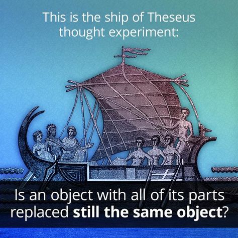 Ship Of Theseus, Gravity Experiments, Trolley Problem, Special Relativity, Schrödinger's Cat, Theoretical Physics, Thought Experiment, Cogito Ergo Sum, Quantum Mechanics