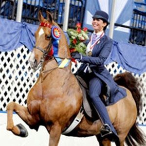 Faye Wuesthofen and Kiss of the Zodiac Saddleseat Riding, Saddlebred Horses, American Saddlebred Horses, American Saddlebred, Show Horse, Power Animal, Saddle Seat, Horse Property, Horse Trailers