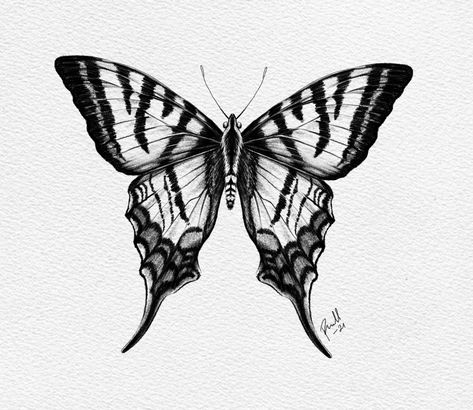 Dark Tattoo Sketch, Dark Butterfly Tattoo, Moth Sketch, Butterfly Tattoos Images, Borboleta Tattoo, Moth Drawing, Butterfly Eyes, Draw Step By Step, Insect Tattoo