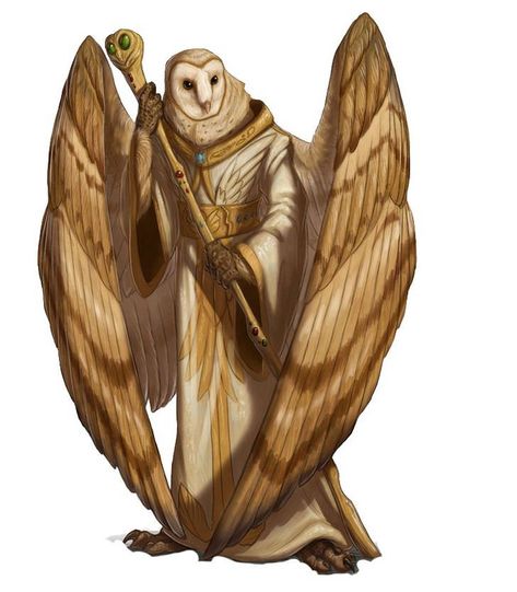 DnD Character art collection dump - Imgur Bird People, Heroic Fantasy, Dungeons And Dragons Characters, Fantasy Rpg, Fantasy Inspiration, Dnd Characters, Fantasy Artwork, Kiosk, Creature Design