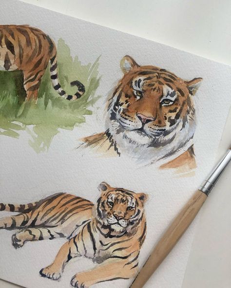 Tiger Watercolor Painting Easy, Watercolour Tiger Painting, Watercolor Painting Animals, Tiger Watercolor Painting, Watercolour Tiger, Draw Tiger, Animal Journal, Tiger Watercolor, Watercolor Painting Easy