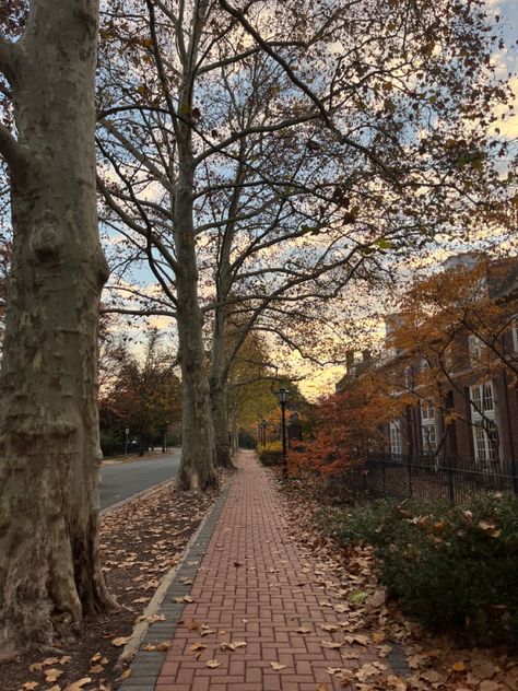 University Of Delaware Aesthetic, Delaware Aesthetic, College Core, Newark Delaware, Taylor Nation, College List, University Of Delaware, Dorm Inspo, Dream College