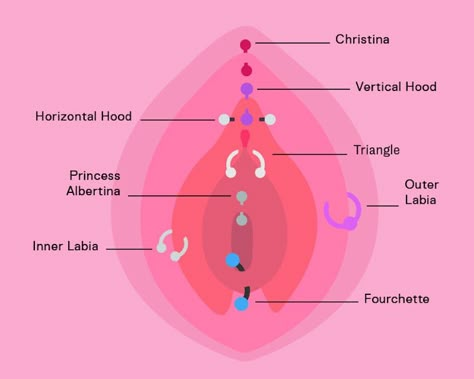 So, You Want To Get Your Genitalia Pierced Clitoral Hood Piercing, Piercing Designs, Web Piercing, 2 Piercings, Anatomy Education, Orbital Piercing, Cool Piercings, Cute Piercings, Belly Jewelry