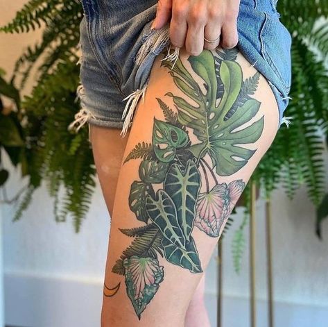 House Plants 🌱 on Instagram: "She doesn't need to water anymore😁 Do you love plant tattoos?💚 . • >> 📸@pooka . . #indoorplants #monstera #houseplantclub #plantstagram #cactus #plantlife #sansevieria #indoorgardening #urbanjungle #calathea #monsteradeliciosa #houseplantjournal #bonsai #alocasia #succulents #bedroomdecor #monsteramonday #plantgang #plantnerd #bohochic #leaf #plantparenthood #plantgoals #plantcollection #homedecor #interiordesign #gardening #gardendesign #tattooideas" Plant Tatoos, Tropical Tattoo, Theme Tattoo, Plant Tattoo, Tatuaje A Color, Botanical Tattoo, Up Tattoos, Nature Tattoos, Piercing Tattoo