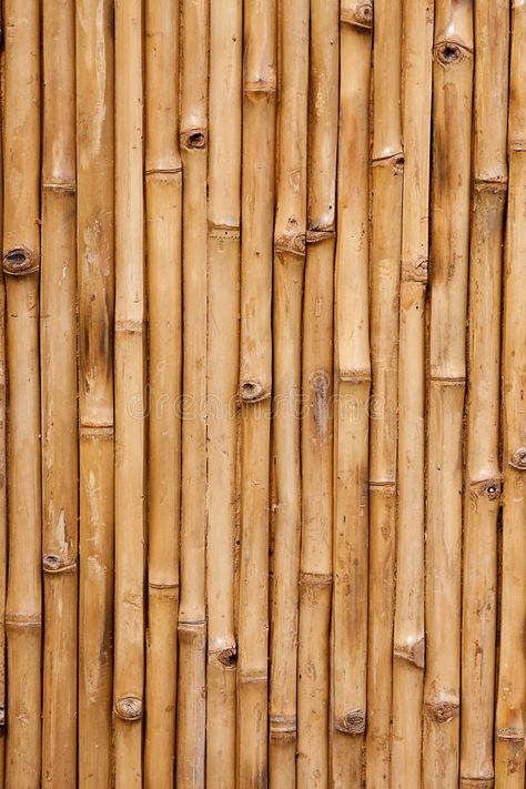 Bamboo Texture Wallpaper, Bamboo Background Wallpapers, Wallpaper Wood Texture, Bamboo Column, Holz Wallpaper, Eco Background, Bamboo Gate, Wood Texture Wallpaper, Bamboo Aesthetic