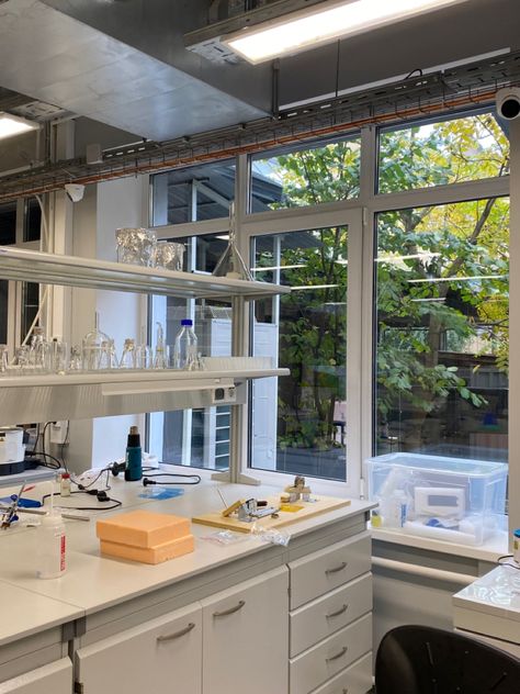 ITMO UNIVERSITY chemistry laboratory autumn Lab Doctor Aesthetic, Chemical Laboratory Aesthetic, Lab Work Aesthetic, Laboratory Design Interior, Lab Research Aesthetic, Chemistry Lab Aesthetic, Aesthetic Laboratory, Chemistry University, Laboratory Aesthetic