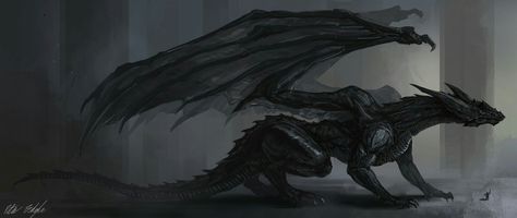 dragon,black dragon,fantasy Cool Dragons, Creatures Art, 다크 판타지, Dragon Rider, Dragon Pictures, Dragon Artwork, Mythological Creatures, Black Dragon, Fantasy Dragon