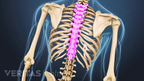 Thoracic region of the spine: All About Upper Back Pain Spinal Degeneration, Myofascial Pain Syndrome, Spinal Fusion, Spine Health, Spine Surgery, Psoas Muscle, Upper Back Pain, Myofascial Release, Massage Benefits