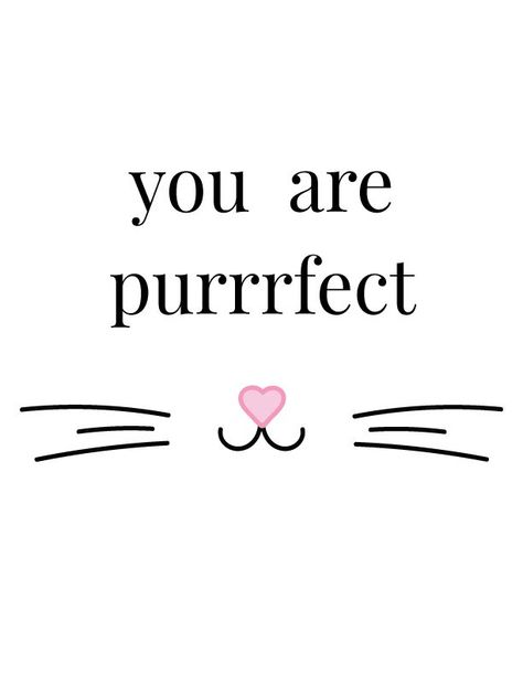 Cute Quotes For Cats, Cat Motivational Quotes, Cat Poems Short, Cat Aesthetic Quotes, Cat Quotes Love, Cat Person Quotes, Quotes For Cats, Cat Lover Quotes, Meow Quotes